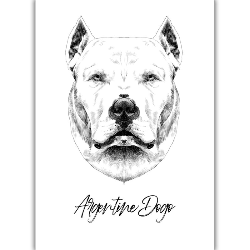 Argentine Dogo - Sort/Hvid