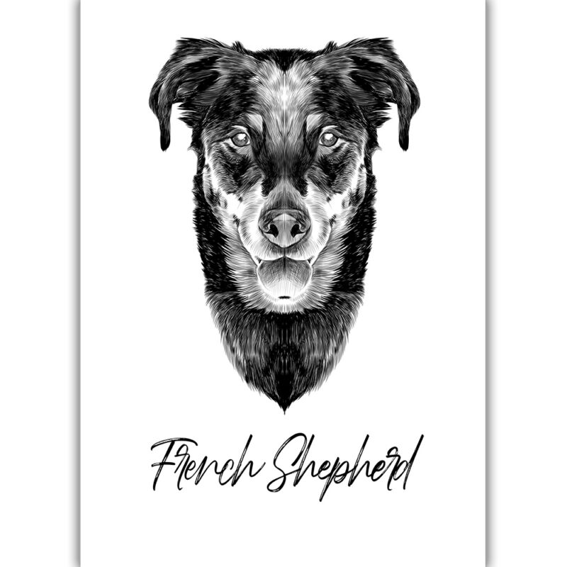 French Shepherd - Sort/Hvid