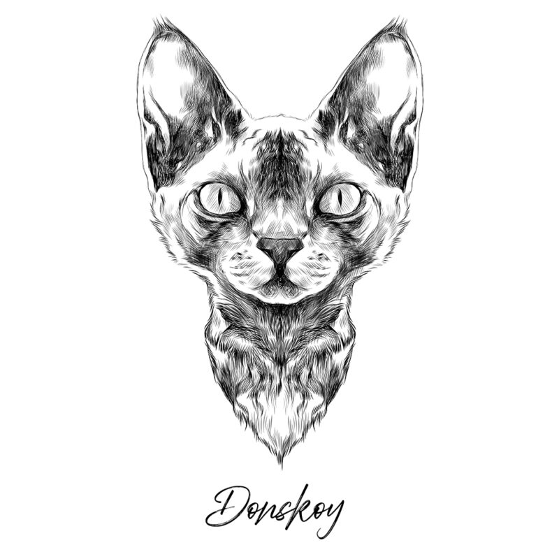 Donskoy - Sort/Hvid