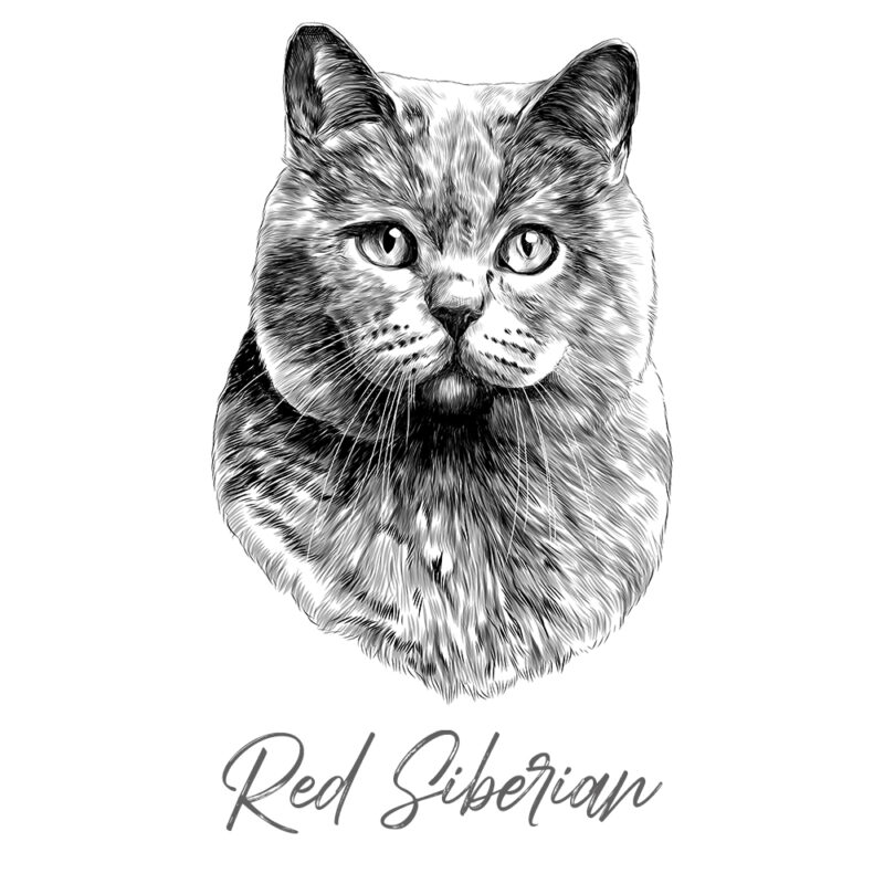 Red Siberian - Sort/Hvid