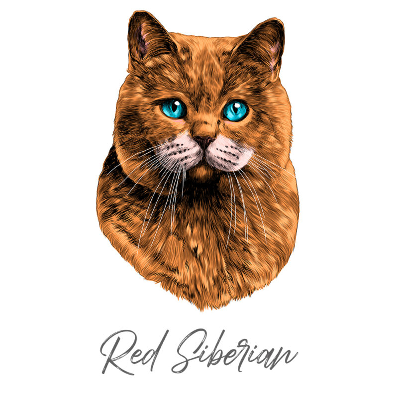 Red Siberian - Farvet