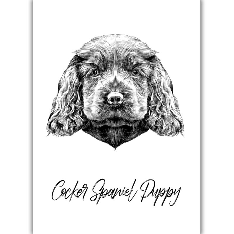Cocker Spaniel Puppy - Sort/Hvid