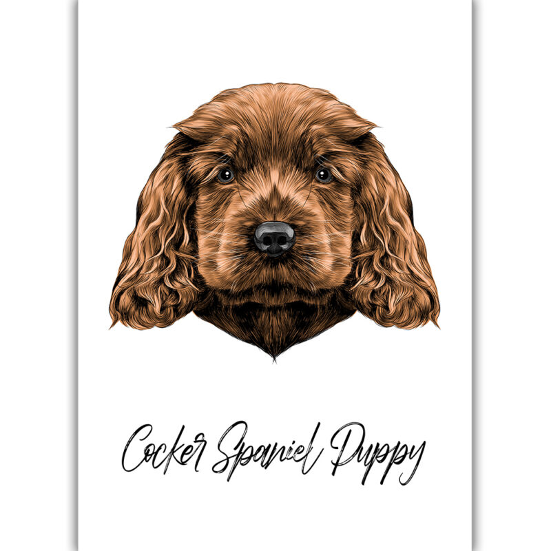 Cocker Spaniel Puppy - Farvet