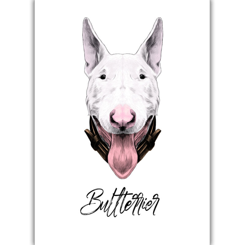 Bullterrier - Farvet