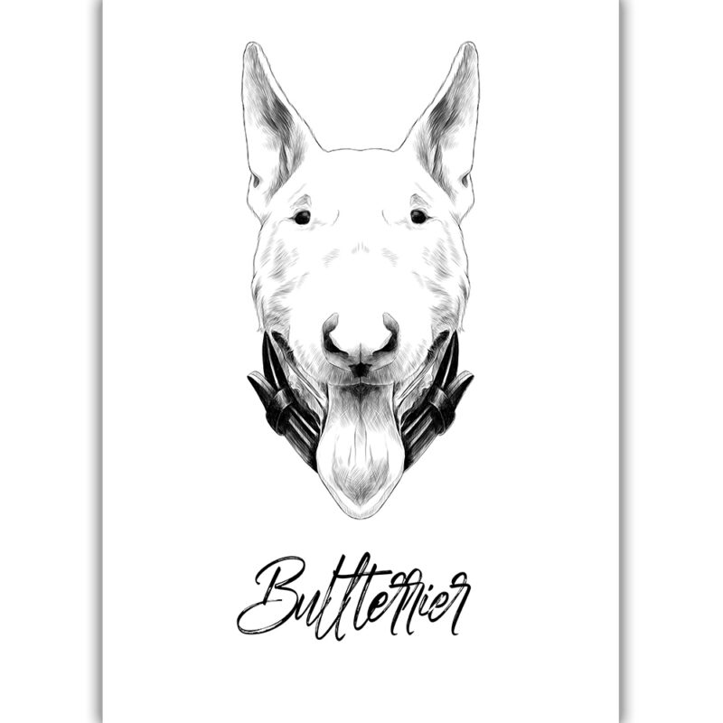 Bullterrier - Sort/Hvid