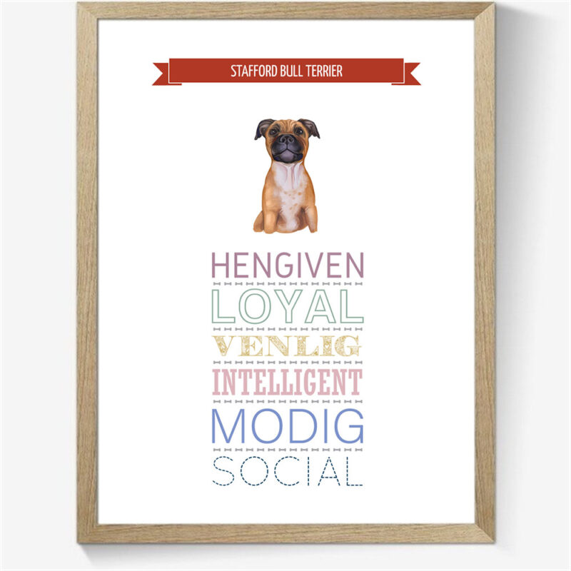 Karaktertræk: Stafford bull terrier m. billede