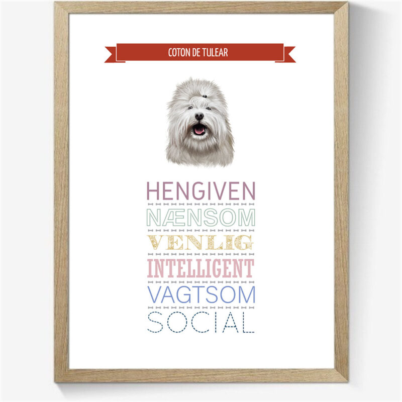 Karaktertræk: Coton de tulear m. billede