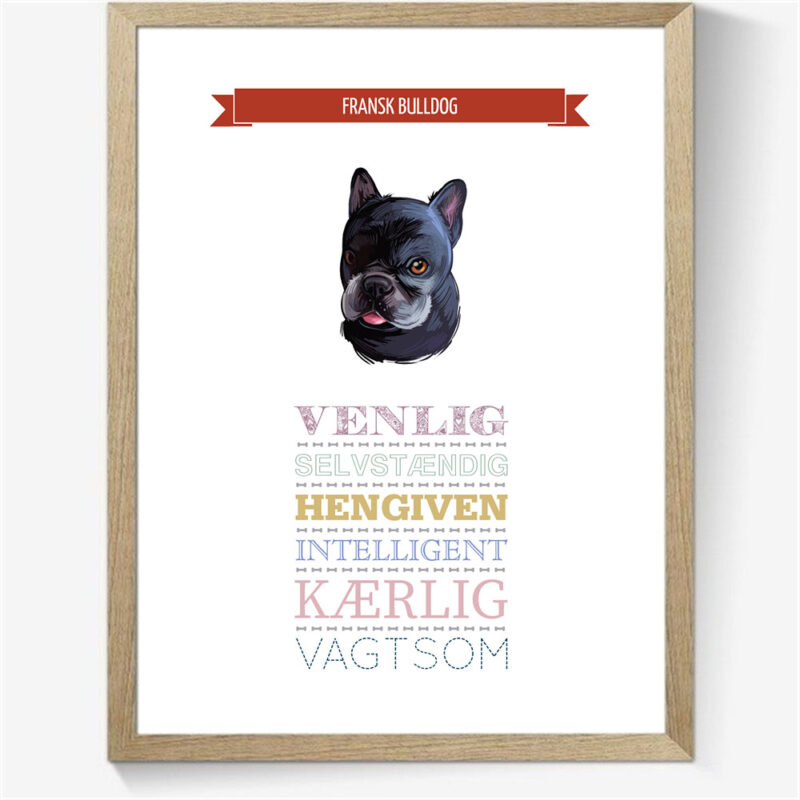 Karaktertræk: Fransk bulldog m. billede