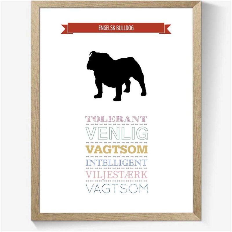 Karaktertræk: Engelsk bulldog