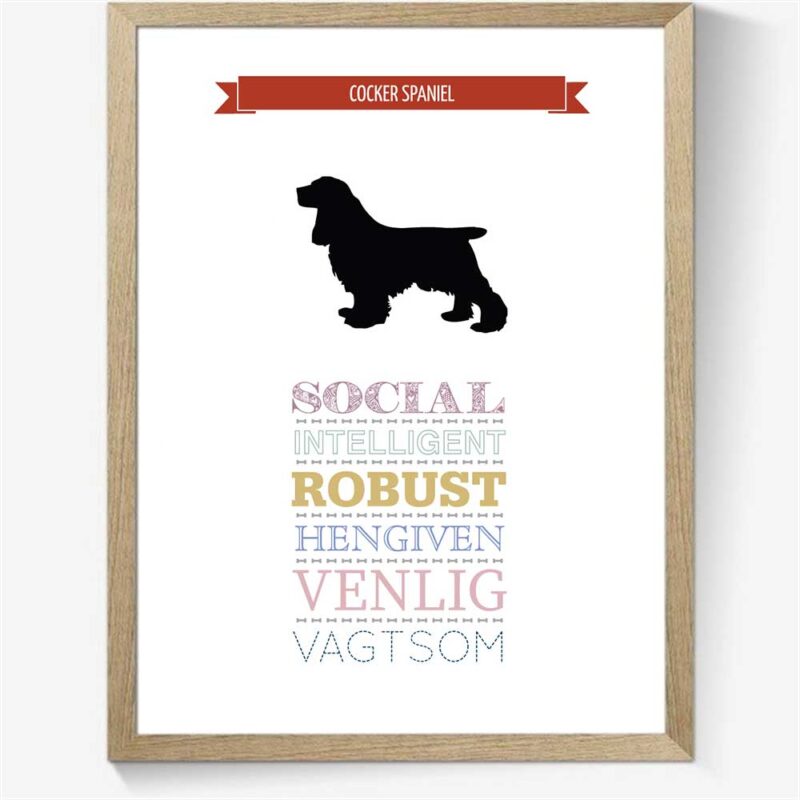 Karaktertræk: Cocker Spaniel