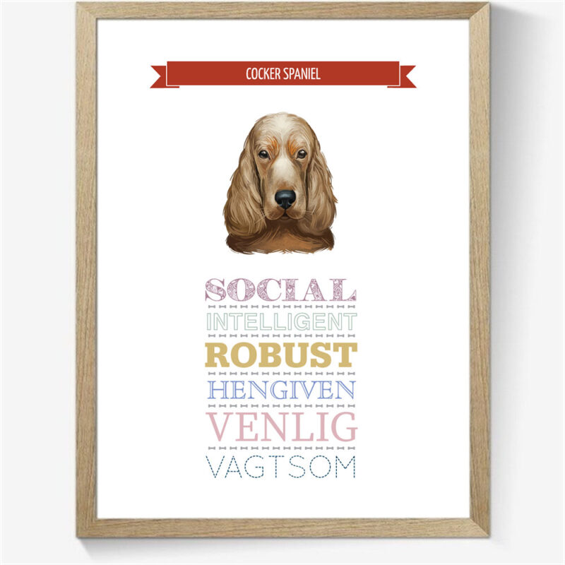 Karaktertræk: Cocker spaniel m. billede