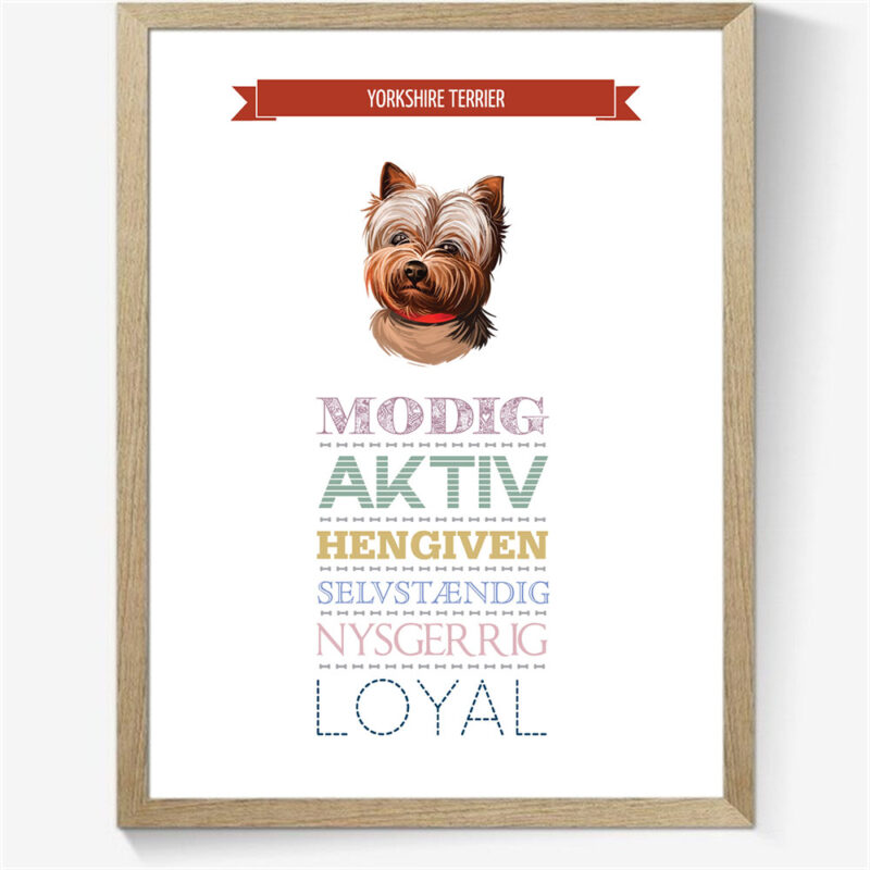 Karaktertræk: Yorkshire terrier m. billede