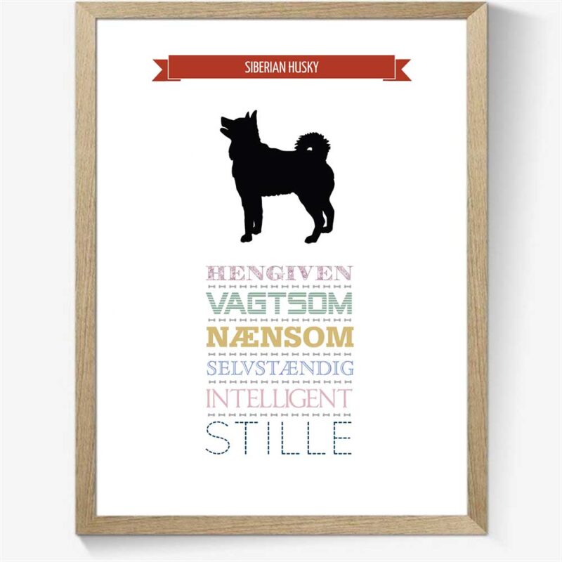 Karaktertræk: Siberian husky