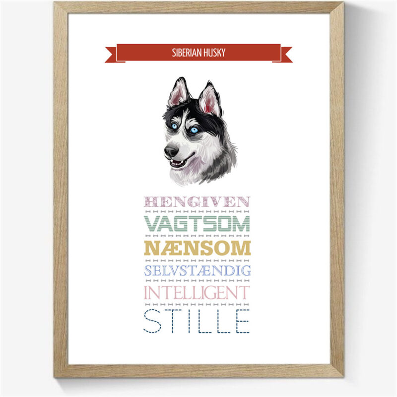Karaktertræk: Siberian Husky m. billede