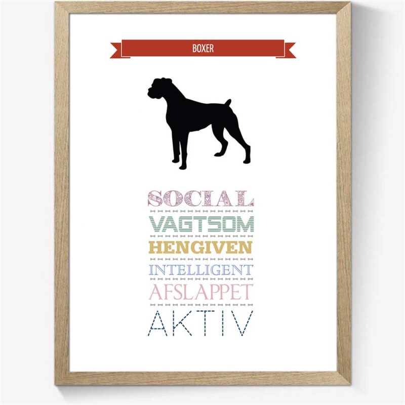 Karaktertræk: Boxer