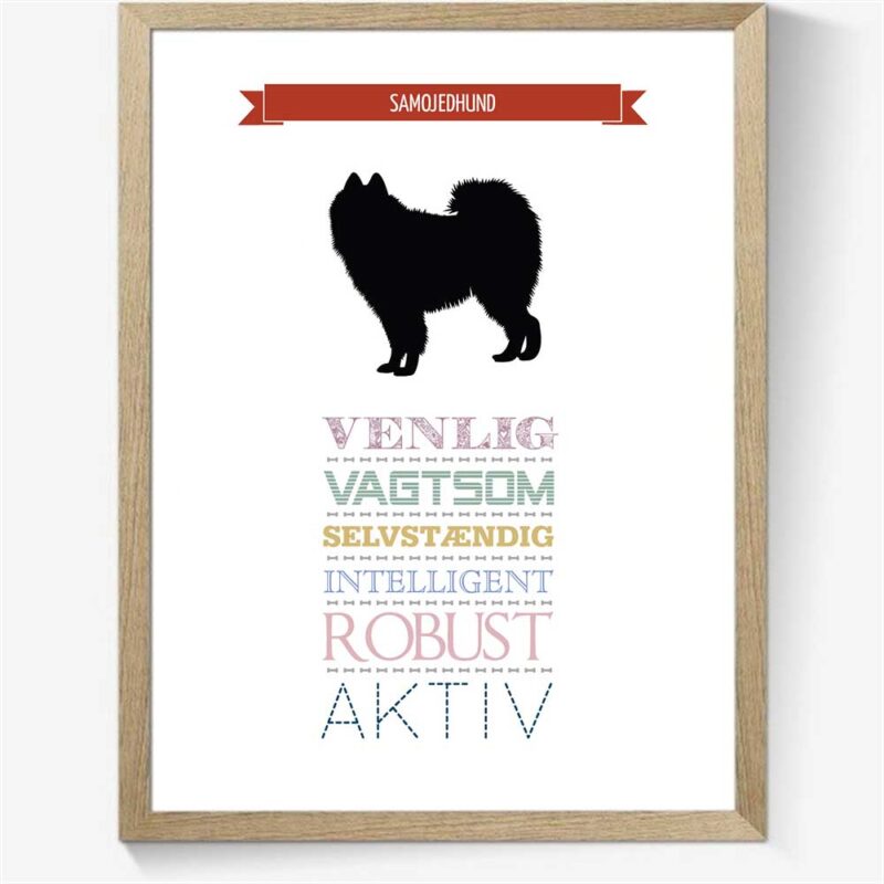 Karaktertræk: Samojedhund
