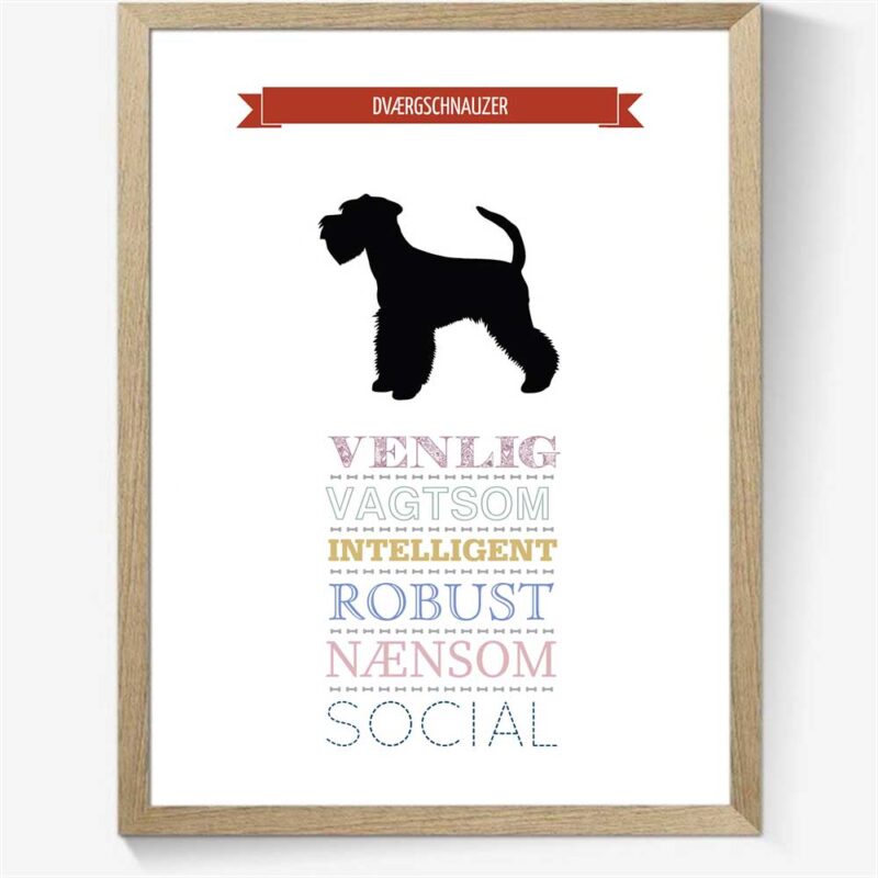 Karaktertræk: Dværgschnauzer