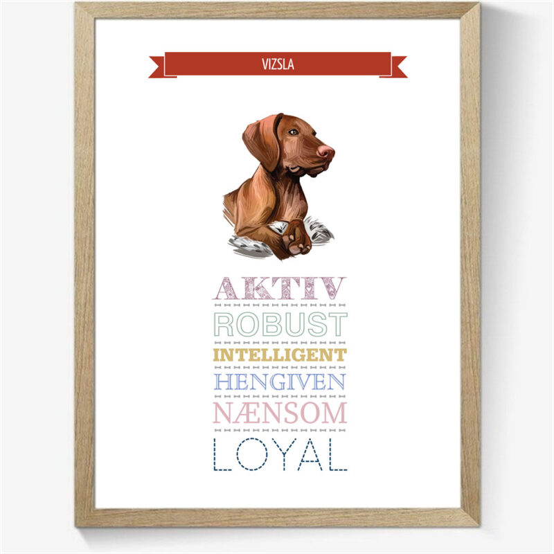 Karaktertræk: Vizsla m. billede