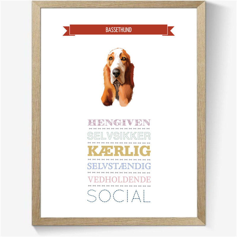 Karaktertræk: Bassethund m. billede