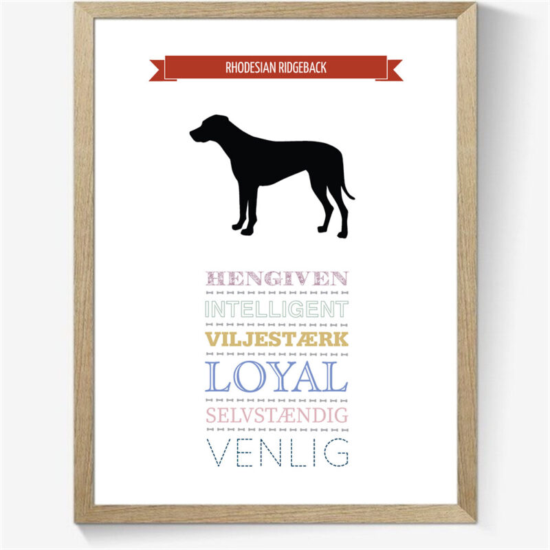 Karaktertræk: Rhodesia ridgeback