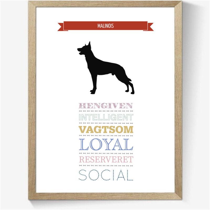 Karaktertræk: Malinois