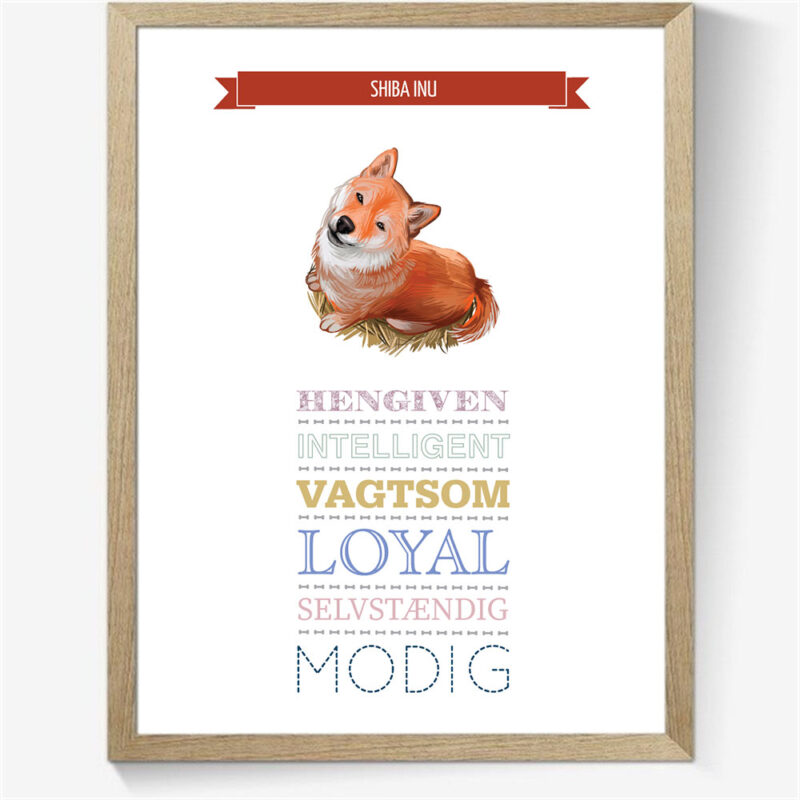 Karaktertræk: Shiba Inu m. billede