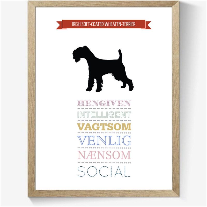 Karaktertræk: Irish soft-coated wheaten-terrier