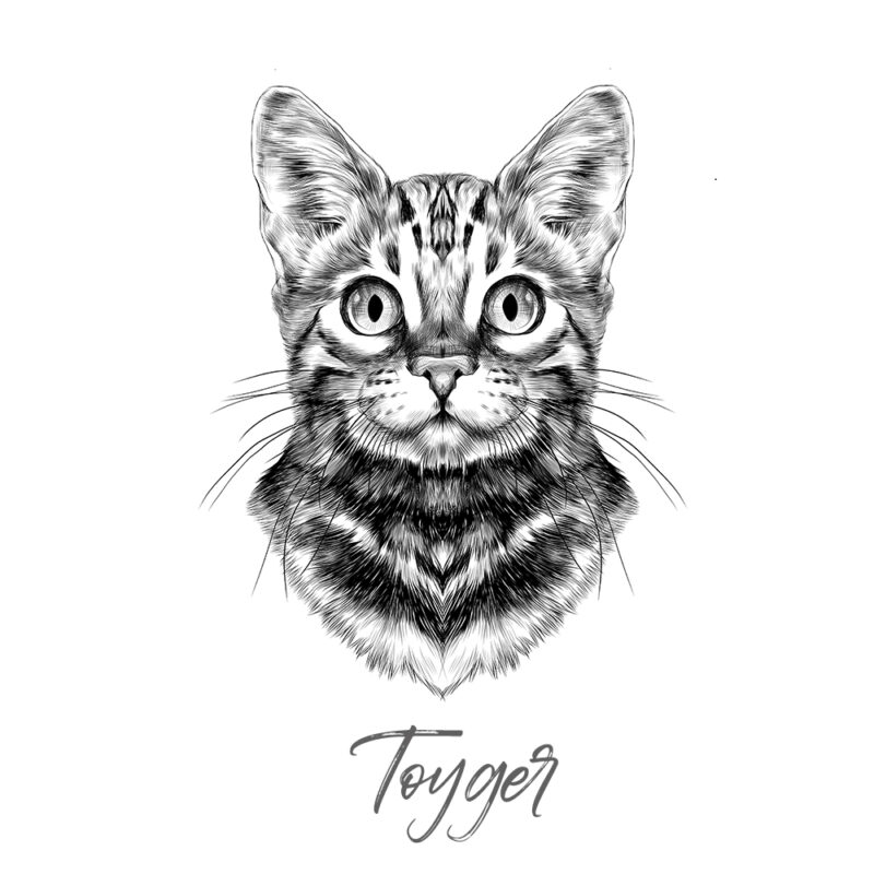 Toyger - Sort/Hvid