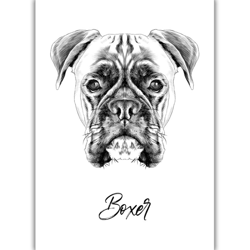 Boxer - Sort/Hvid