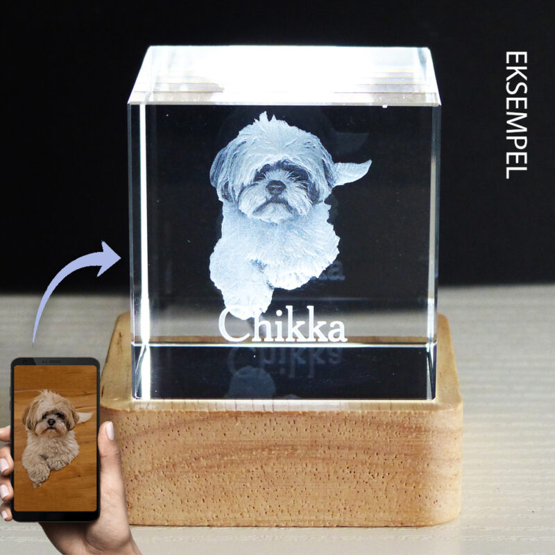 3D Laserfoto i krystalglas: Glas blok 5 x 5 x 5 cm