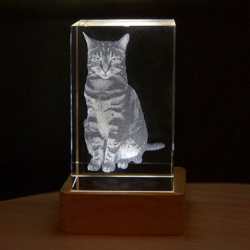 3D Laserfoto i Glasblok: 5 x 5 x 8 cm