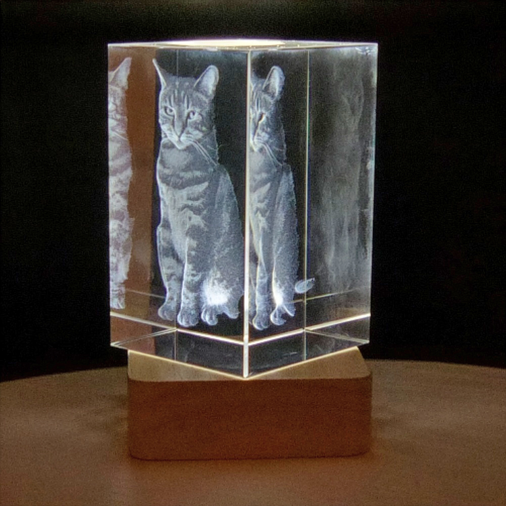 3D Laserfoto i Glasblok: 5 x 5 x 8 cm - Billede 2