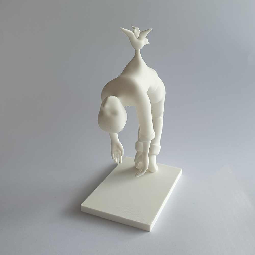 Bird burden - Billede 6
