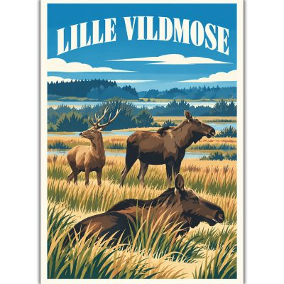 Lille vildmose