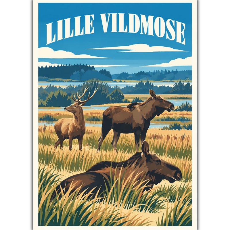 Lille vildmose